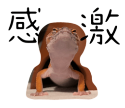 766331925