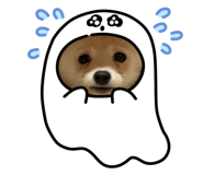 766334277