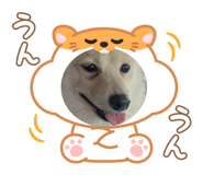 766334280