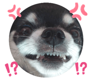 766335164