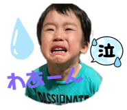 766335661