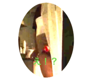 766340185