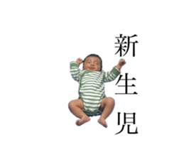 766344401