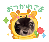 766357792
