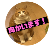 766358022