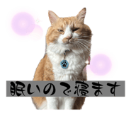 766358029