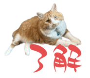 766358030