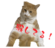 766358032
