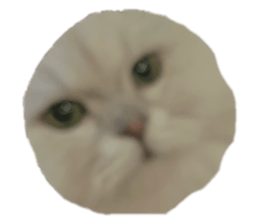 766372443
