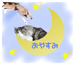766372740