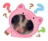 766374571