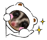 766374573