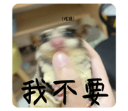 766374576