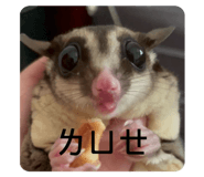 766374581