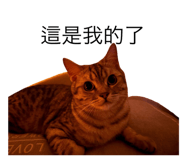 766374948