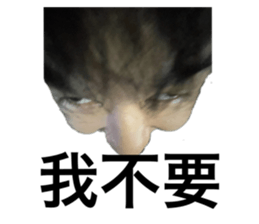 766375071