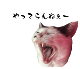 766375578