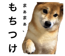 766375696