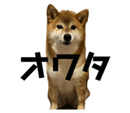 766375698