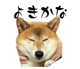 766375699