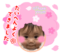 766381330