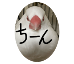 766381433