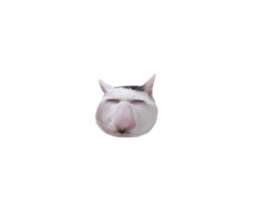 766387525