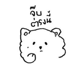 ลายที่ 5