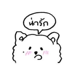 ลายที่ 21