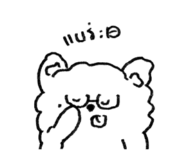 ลายที่ 43