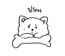 ลายที่ 49