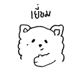 ลายที่ 53