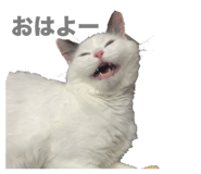 766396113
