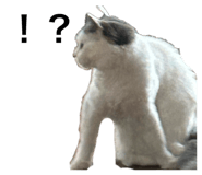 766396115
