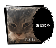 766396138