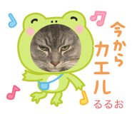 766396141