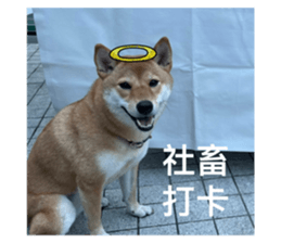 766406439