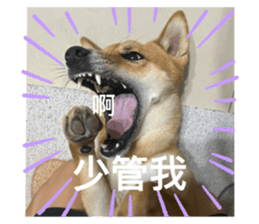 766406440