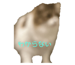 766413139