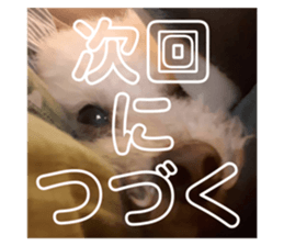 766422536