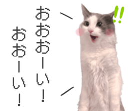 766423072