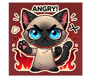 766423456