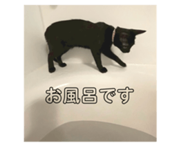 766430923