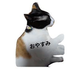 766432787