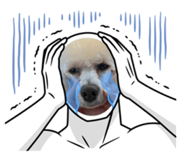 766434047