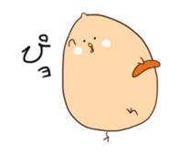 7664381