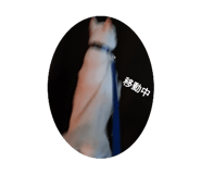 766483370