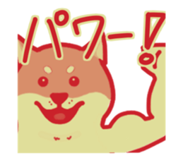 766483816