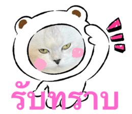 766485935