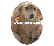 766494060